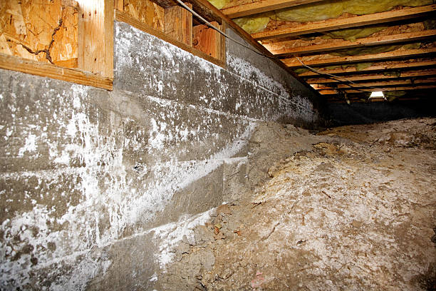 A basement or crawl space shows severe water damage with white mineral deposits (efflorescence) covering the concrete block walls and exposed wooden floor joists above a dirt floor.