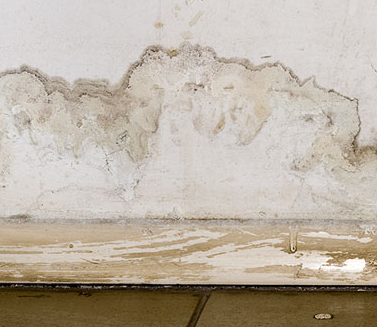 A basement or interior wall shows significant water damage with peeling paint, discoloration, and moisture stains along the baseboard, indicating a serious water intrusion problem.